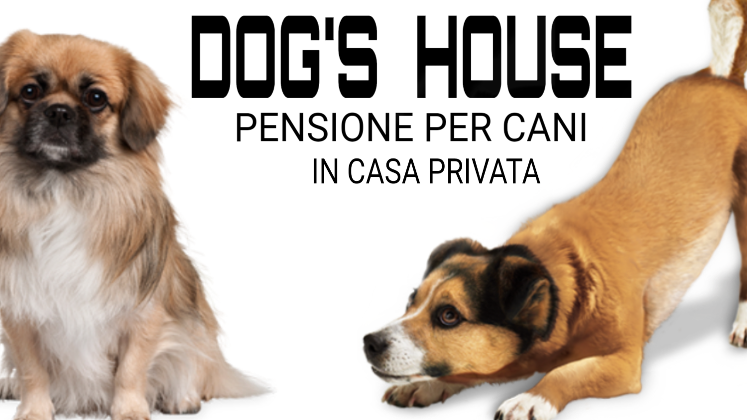 DOG'S HOUSE logo